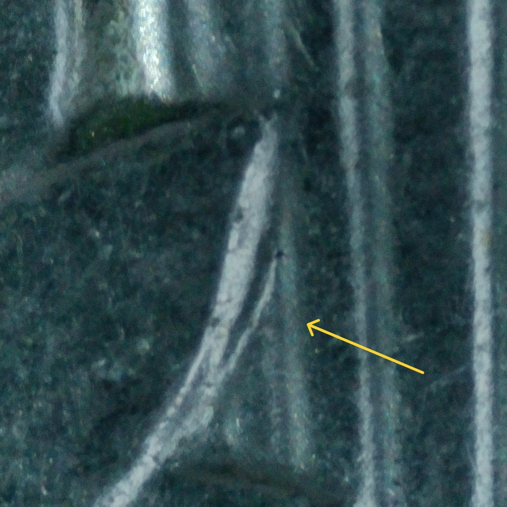2019-P-Roosevelt-Dime:-WDDR-002?
