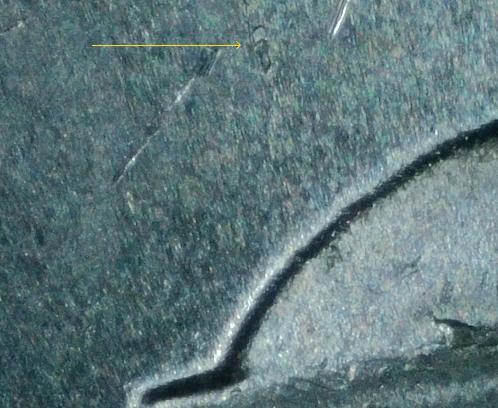2023-P-Jefferson-Nickel:-Possible-DDR