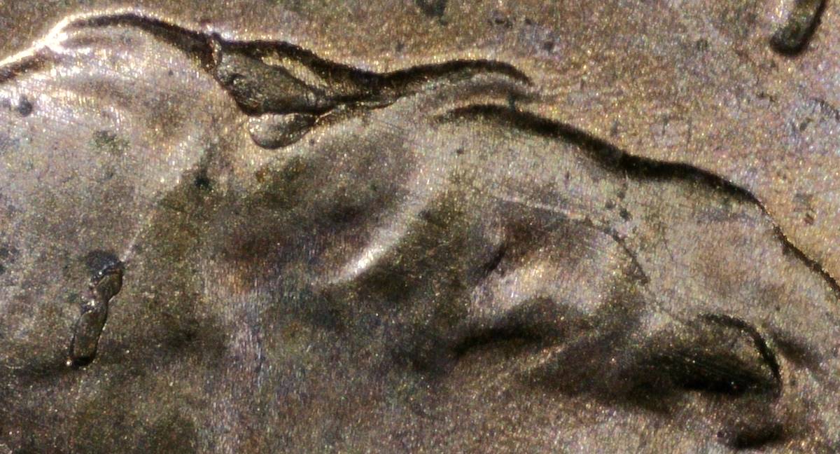 2020-LSC-With-Cracked-Skull