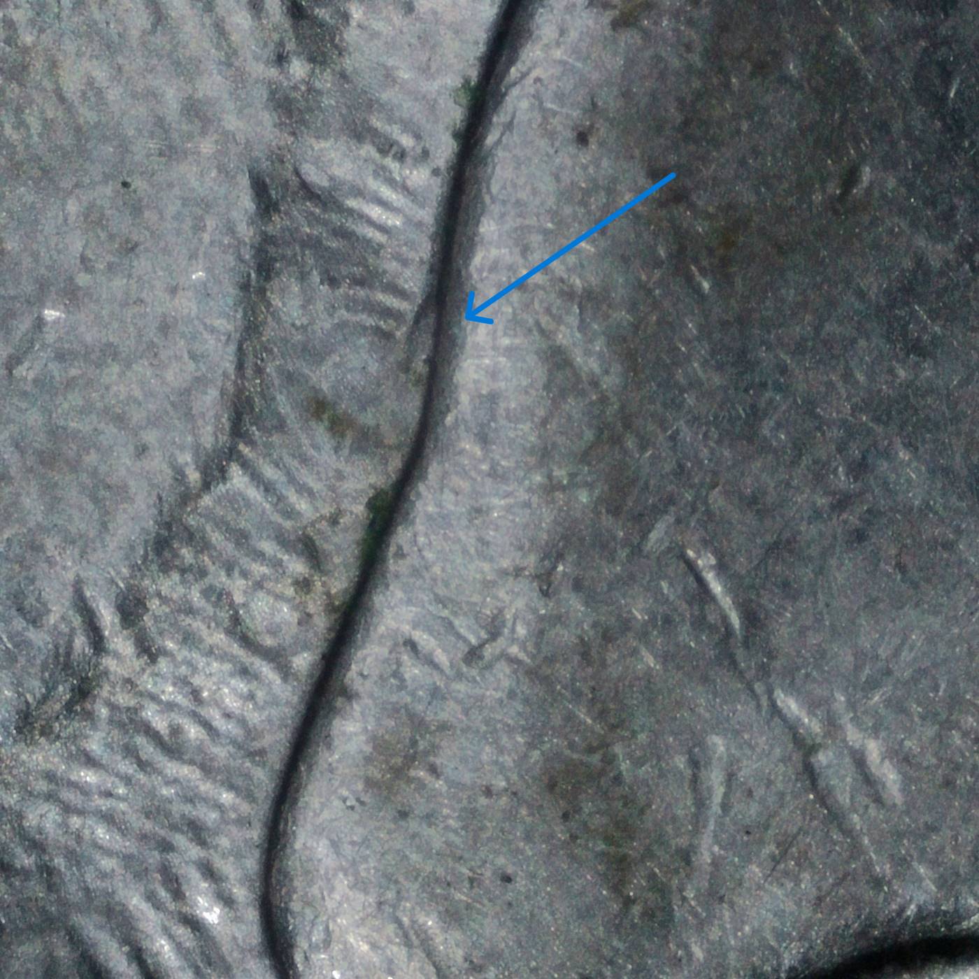 2013-P-South-Dakota-Quarter::-DDR
