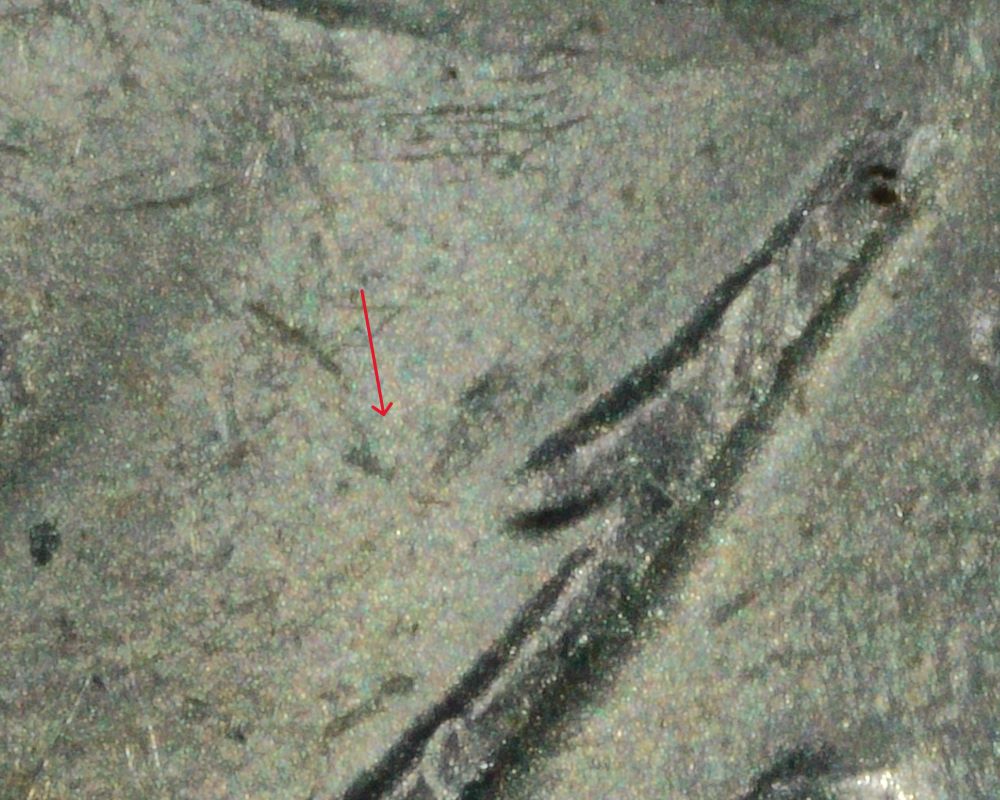 2022-P-Nickel:-WDDR-009