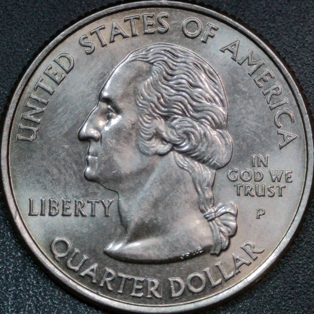2004-P-Iowa-Quarter:-Interesting-Die-Chips