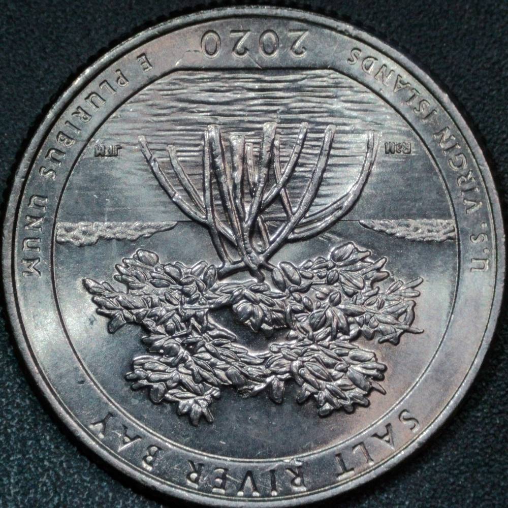 2020-P-Salt-River-Bay-Quarter:-WDDR-004