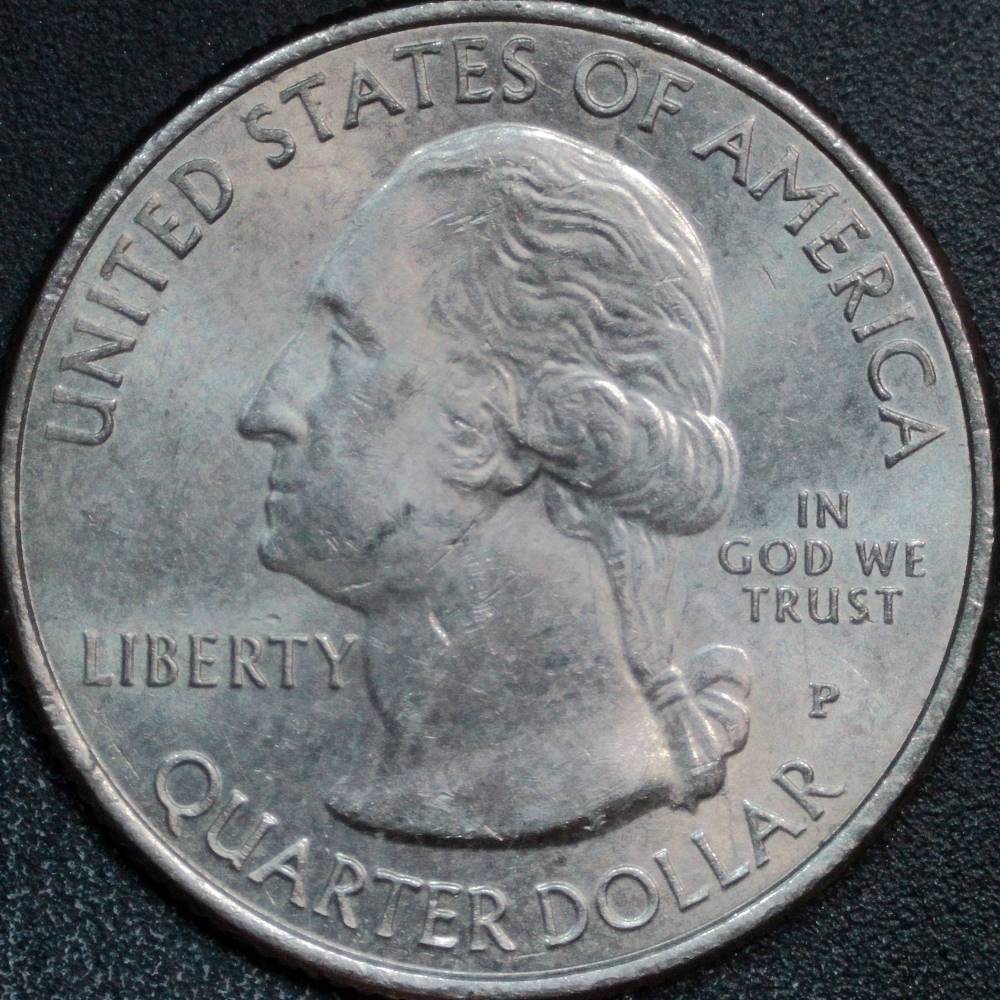 2015-P-Homestead-Quarter:-WDDR-048
