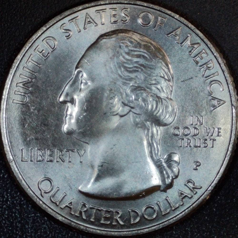 2015-P-Homestead-Quarter:-WDDR-098