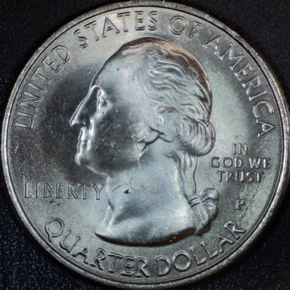 2015-P-Homestead-Quarter:-WDDR-017