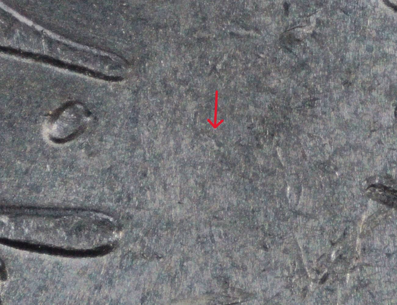 2021-P-Nickel:-WDDR-005