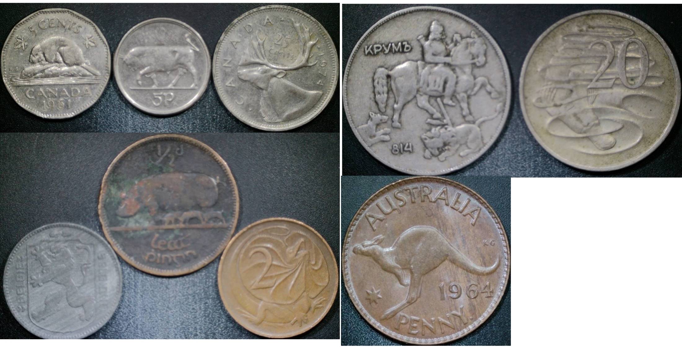 Post-Your-Coins-Representing-The-Animal-Kingdom.