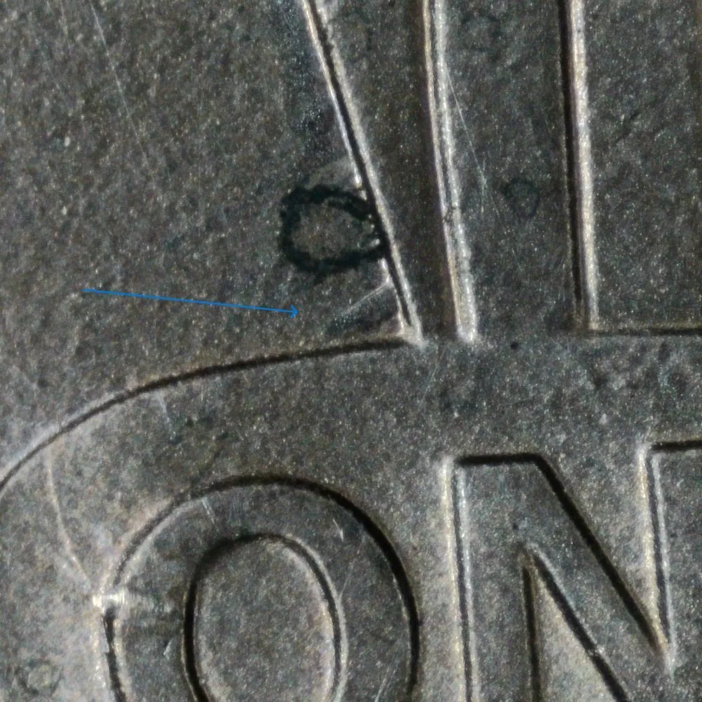2019-LSC-With-Small-Indent-To-The-Left-Of-The-Shield-Above-Banner