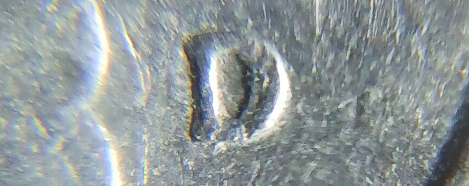 Washington-Quarter-1989.