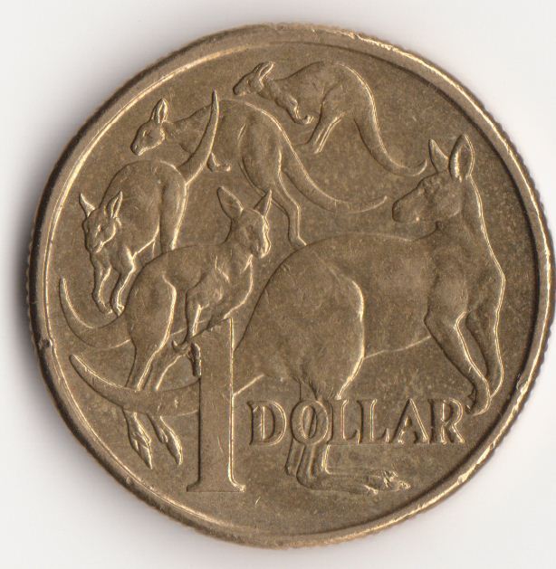 Noodling-Find-Of-The-Week?
