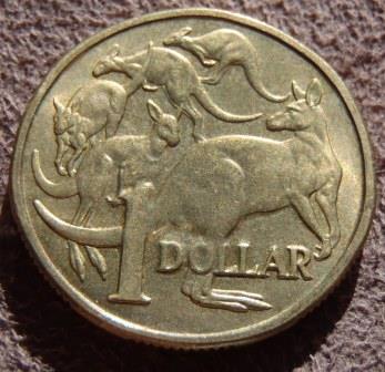 Noodling-Find-Of-The-Week?