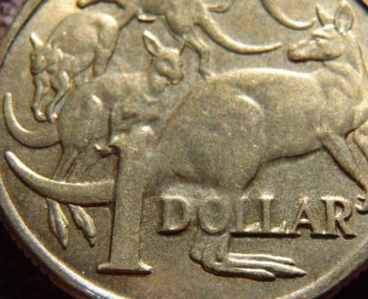 Noodling-Find-Of-The-Week?