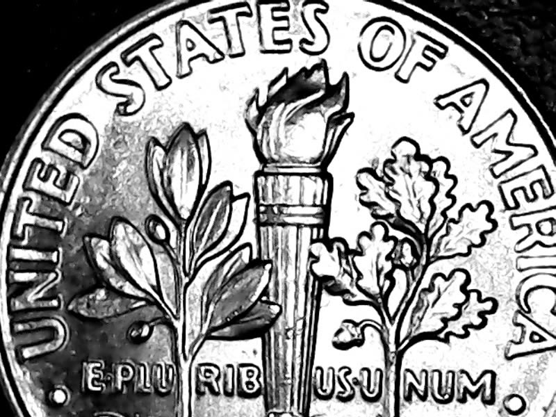 2012-P-Roosie-Buckeye-Vs-Acorn?