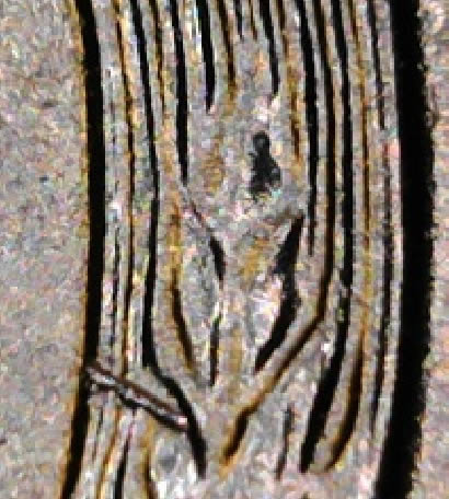 1955-S-LWC-Is-This-A-Die-Chip-In-The-Right-Stalk?