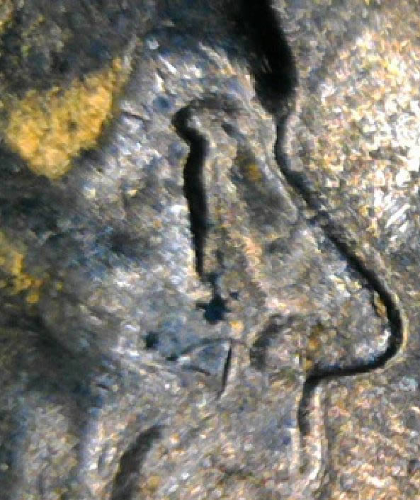 1971-D-Cent-Doubled-Chin,-Lips,-Something-Going-On-With-Lincoln's-Face
