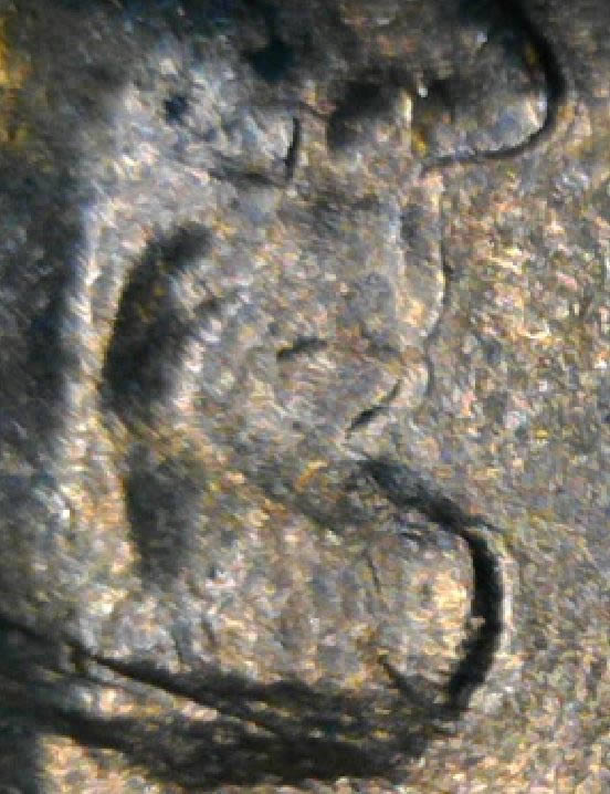 1971-D-Cent-Doubled-Chin,-Lips,-Something-Going-On-With-Lincoln's-Face