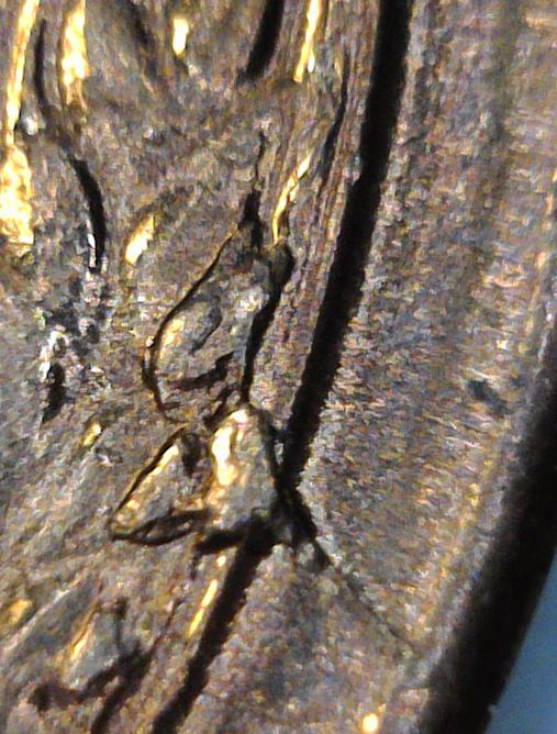1955-S-BU-Wheat-Double-Die-Chip-5's,-Die-Crack-Vest-&-Die-Break-Right-Stalk