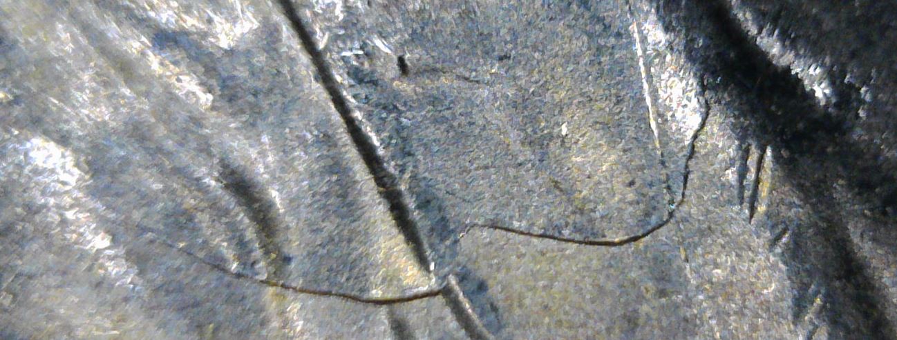 1955-S-BU-Wheat-Double-Die-Chip-5's,-Die-Crack-Vest-&-Die-Break-Right-Stalk