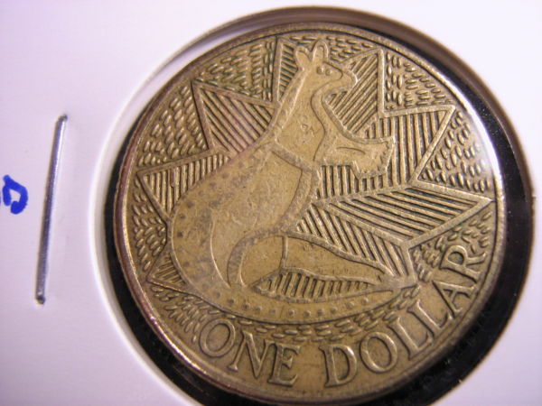 Noodling-Find-Of-The-Week?