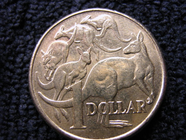 Noodling-Find-Of-The-Week?