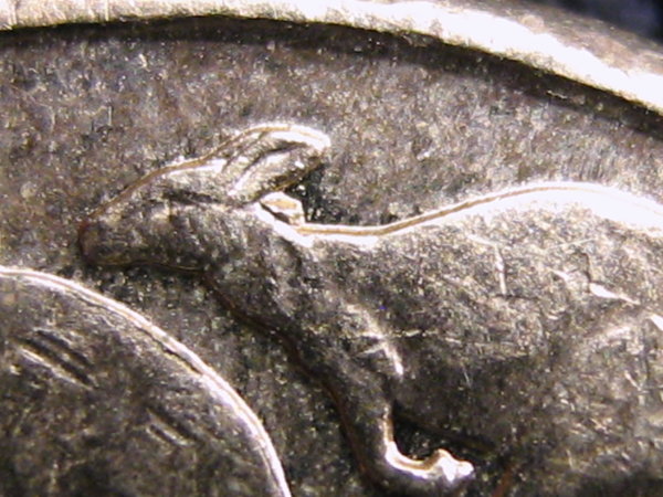 Noodling-Find-Of-The-Week?