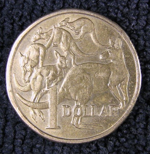 Noodling-Find-Of-The-Week?