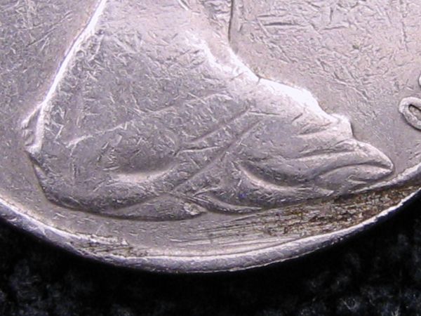 Noodling-Find-Of-The-Week?