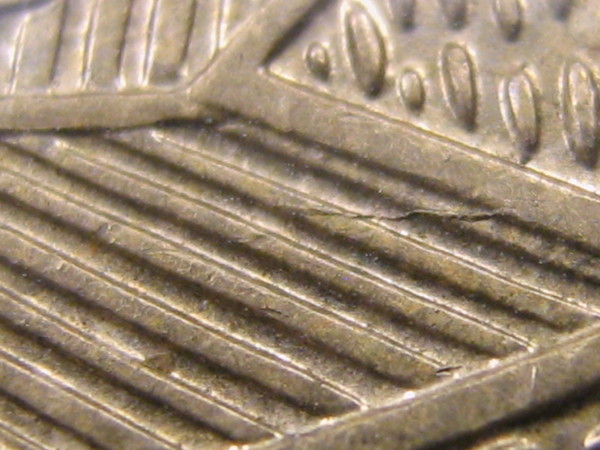 Noodling-Find-Of-The-Week?