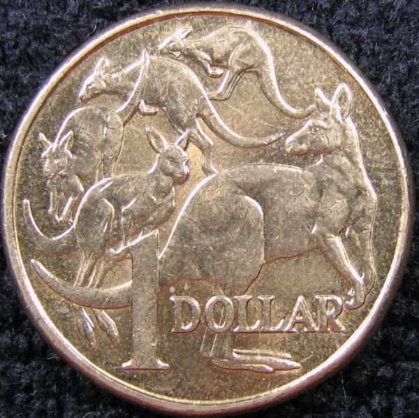 Noodling-Find-Of-The-Week?
