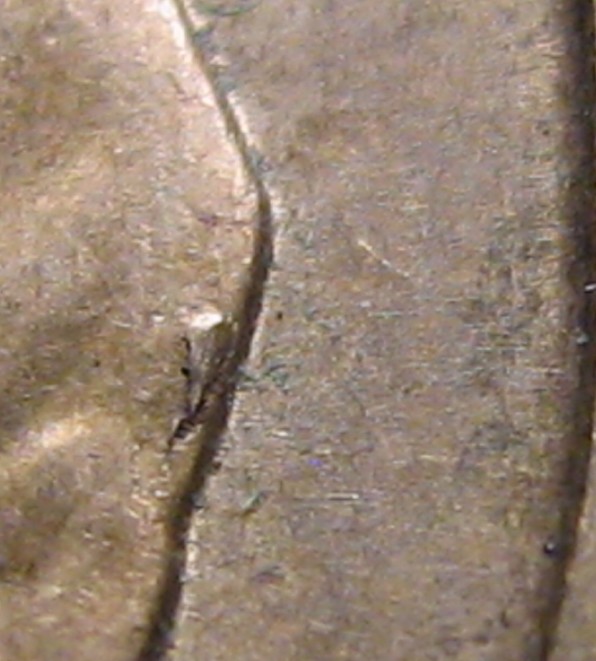1984-One-Dollar-Aef-Spew-Roo-And-Mor