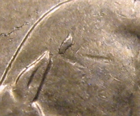 1984-One-Dollar-Aef-Spew-Roo-And-Mor