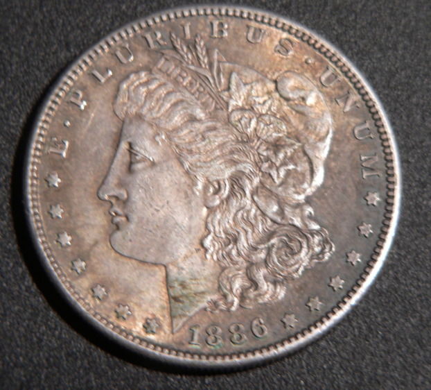 Latest-Purchase....what-Would-You-Grade?