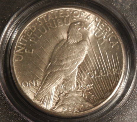 1928-Peace....you-Vs-PCGS