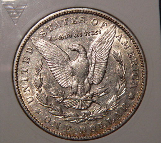 Slabbed-Morgans-From-NGC-And-ANACS-95-S,-96-O-And-94-O