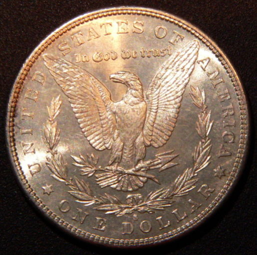 5-Morgan-81-S-For-Grading