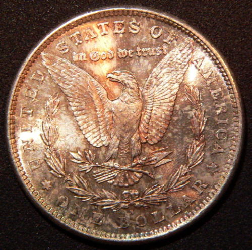 5-Morgan-81-S-For-Grading