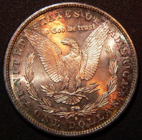 5-Morgan-81-S-For-Grading