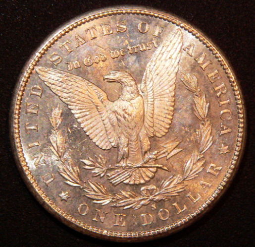 5-Morgan-81-S-For-Grading