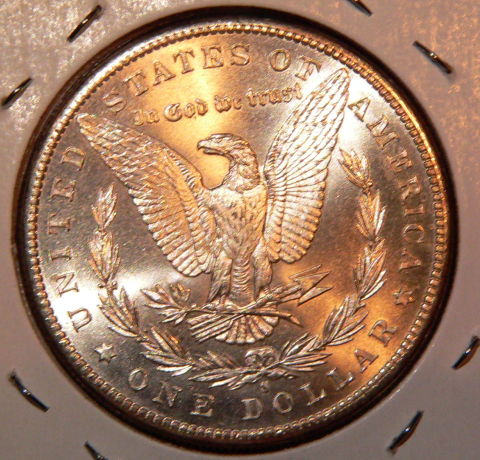 5-Morgan-81-S-For-Grading