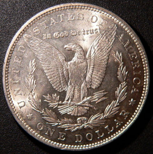 79-CC-And-79-P-Morgans-For-Grading