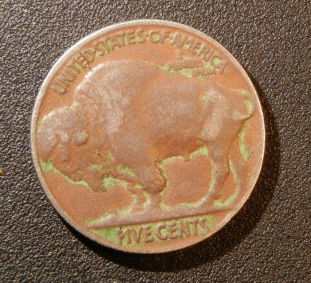 What-Can-Be-Done-With-This-Buffalo