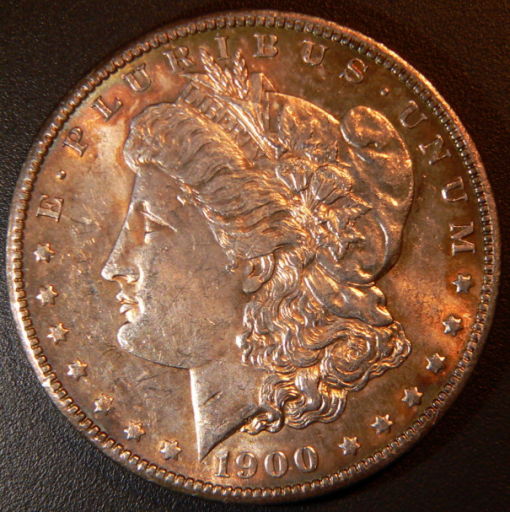 A-Couple-1900-Morgans-For-Grading