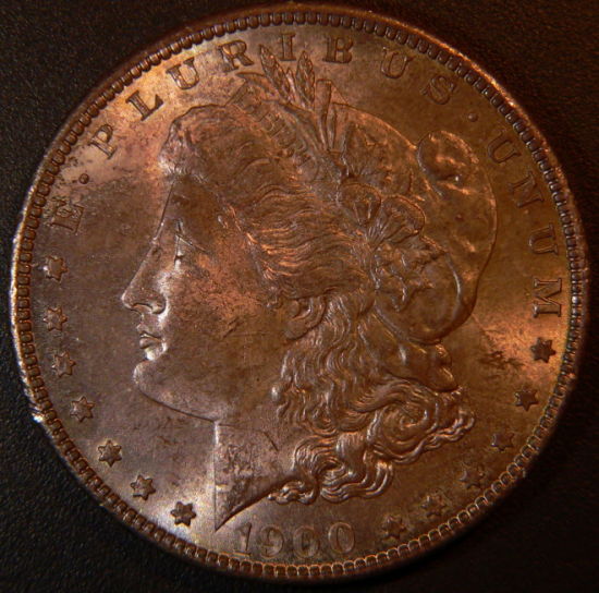 A-Couple-1900-Morgans-For-Grading