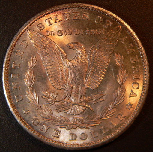 A-Couple-1900-Morgans-For-Grading