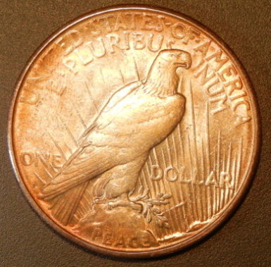 The-11-Days-Of-Peace-Dollars!