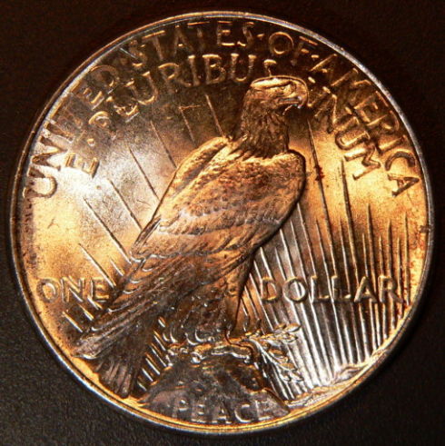 The-11-Days-Of-Peace-Dollars!
