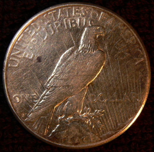 The-11-Days-Of-Peace-Dollars!