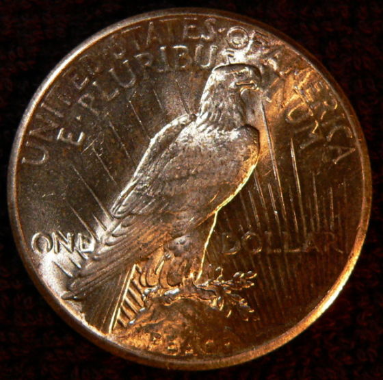 The-11-Days-Of-Peace-Dollars!