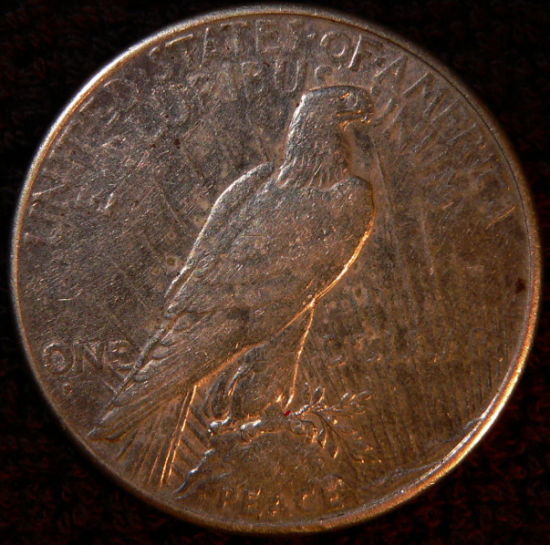 The-11-Days-Of-Peace-Dollars!